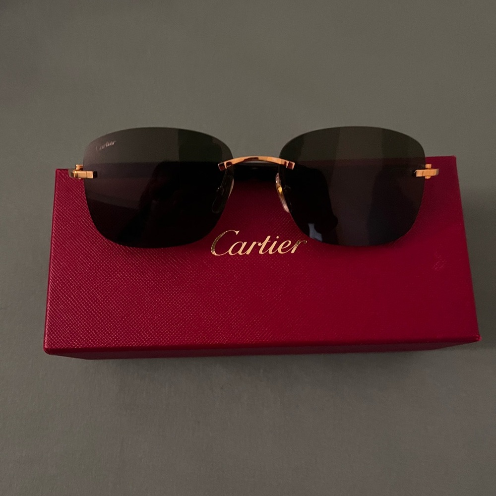 Cartier Core Range CT0227S 002 Sunglasses Gold Frame Sunglasses